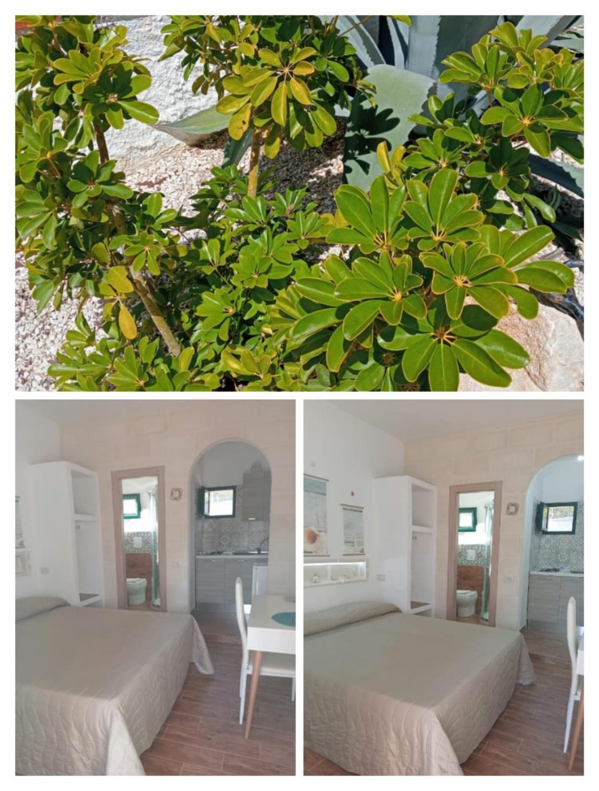Il Corallo Rosso Favignana Exterior foto